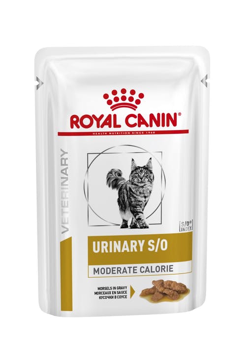 ROYAL CANIN GATTO URINARY S/O MODERATE CALORIE BUSTINE 12X85 GR