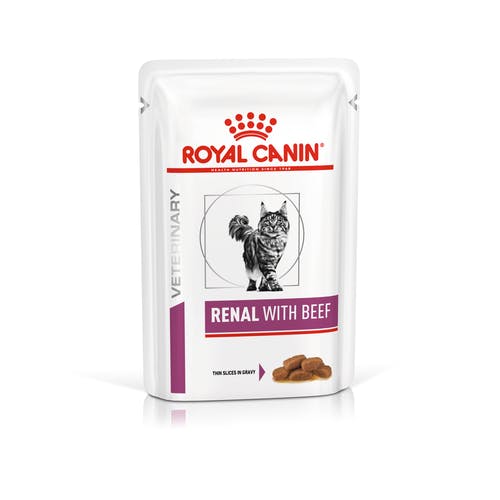 ROYAL CANIN GATTO RENAL CON MANZO 12X85GR