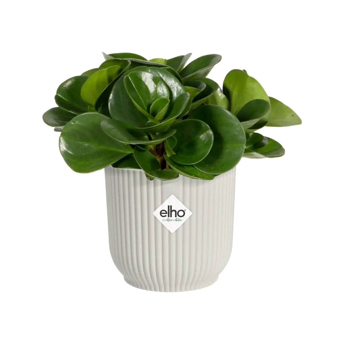 VASO VIBES FOLD ROUND MINI 9CM COLORE A SCELTA
