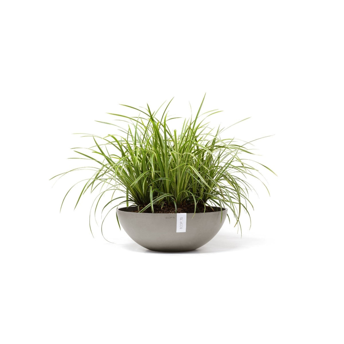 ECOPOTS VASO VIENNA 50 CM TALPA