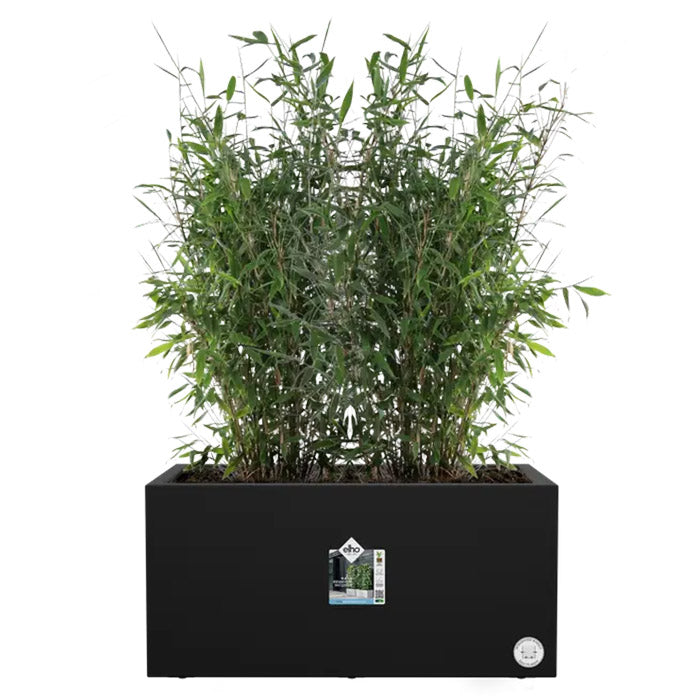 FIORIERA VIVO NEXT LONG 80X39XH38CM LIVING NERO