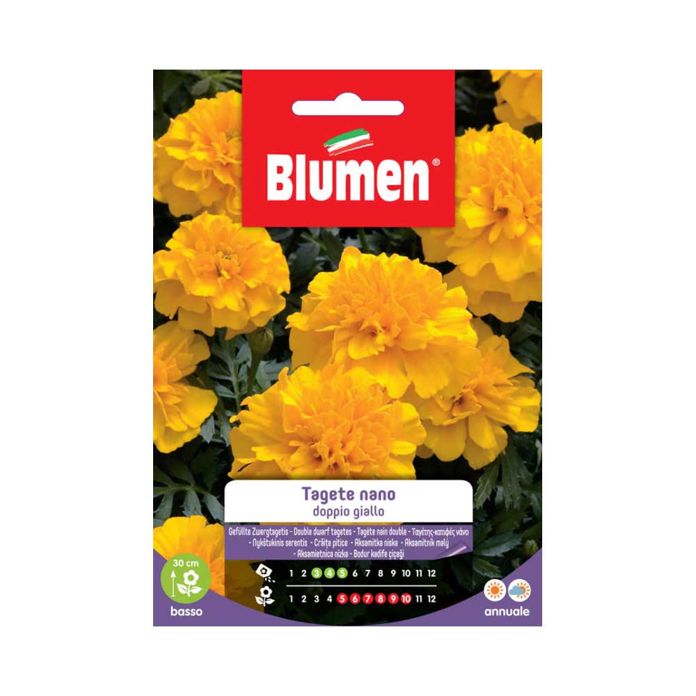 SEMI TAGETE NANO DOPPIO GIALLO BLUMEN