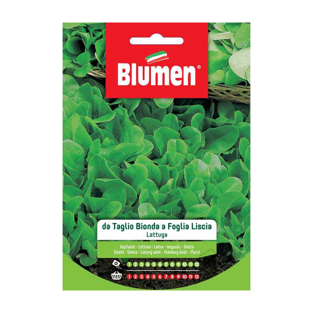 SEMI LATTUGA TAGLIO BIONDA LISCIA BLUMEN