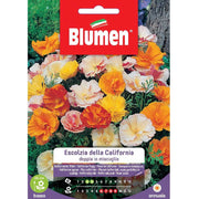 SEMI ESCOLZIA DI CALIFORNIA BLUMEN