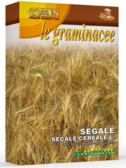 SCATOLA DA 100GR CON SEMI DI SEGALE