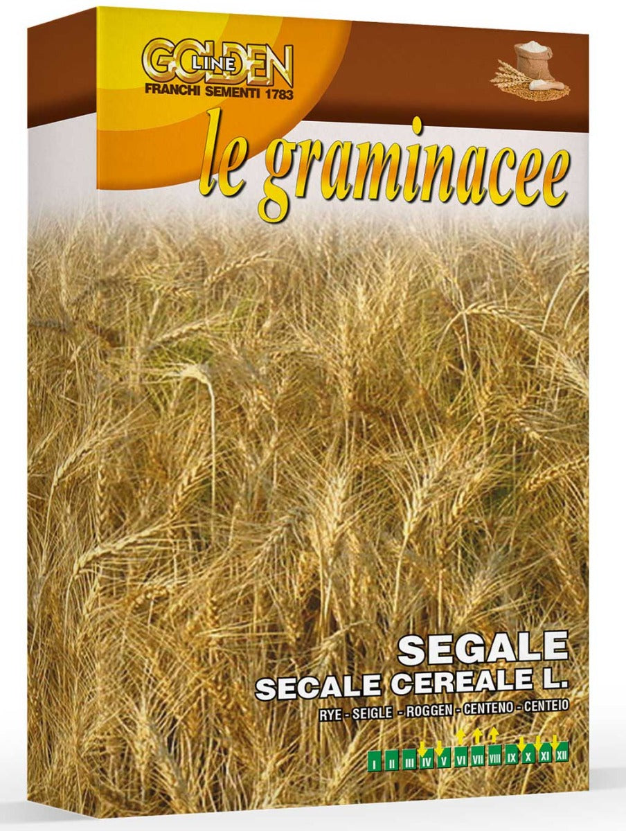 SCATOLA DA 100GR CON SEMI DI SEGALE