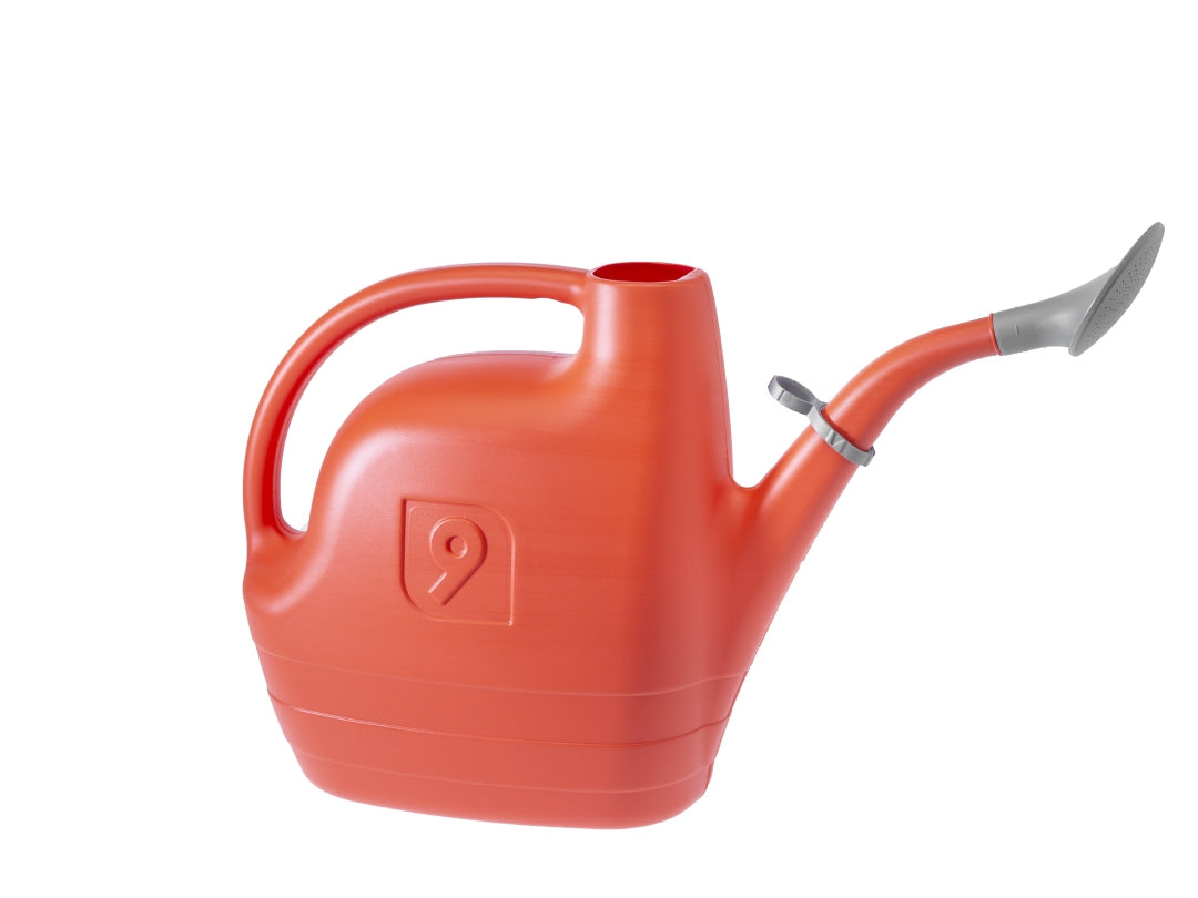 ANNAFFIATOIO ALBATROSS 9LT LAVA CON ROSETTA