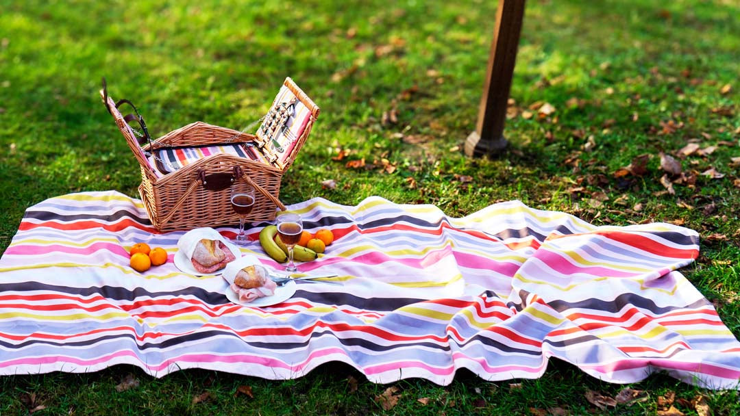 Cestino da picnic in vimini miele per 2 persone Multicolor