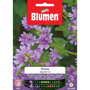 SEMI MALVA SYLVESTRIS BLUMEN