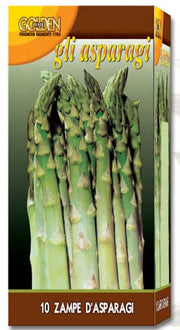 ASPARAGO VERDE 10 ZAMPE PZ