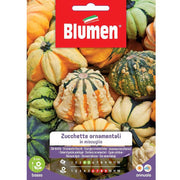 SEMI ZUCCHETTA ORNAMENTALE BLUMEN