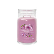 CANDELA GRANDE SIGNATURE WILD ORCHID