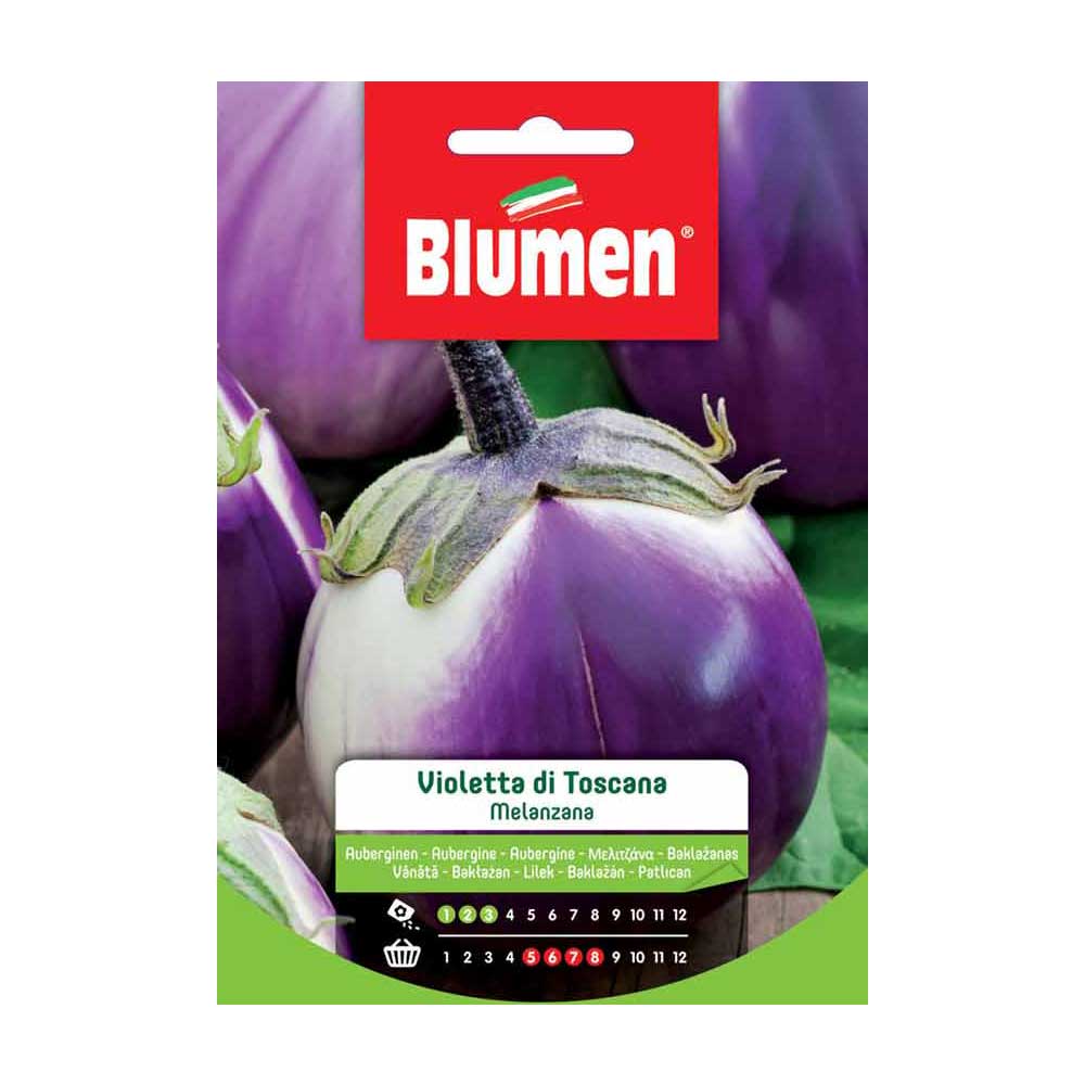 SEMI MELANZANA VIOLETTA DI TOSCANA BLUMEN