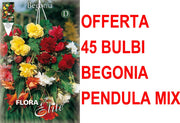 OFFERTA 45 BULBI BEGONIA PENDULA IN MIX DI COLORI