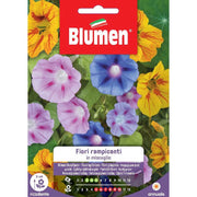 SEMI FIORI RAMPICANTI IN MIX BLUMEN