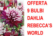 OFFERTA 9 BULBI DAHLIA DECORATIVE REBECCA'S WORLD