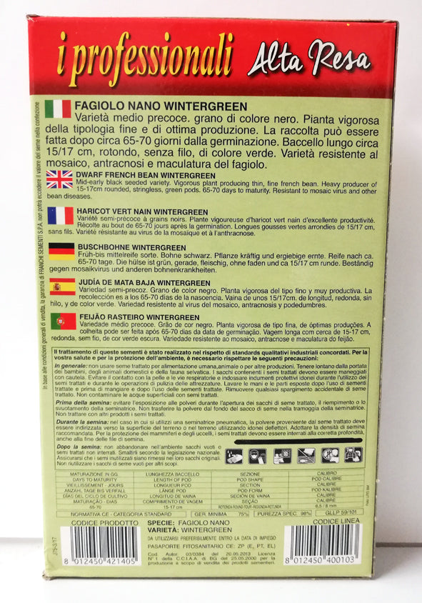 SCATOLA SEMI DI FAGIOLO NANO WINTERGREEN