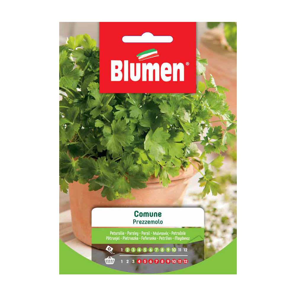 SEMI PREZZEMOLO COMUNE BLUMEN