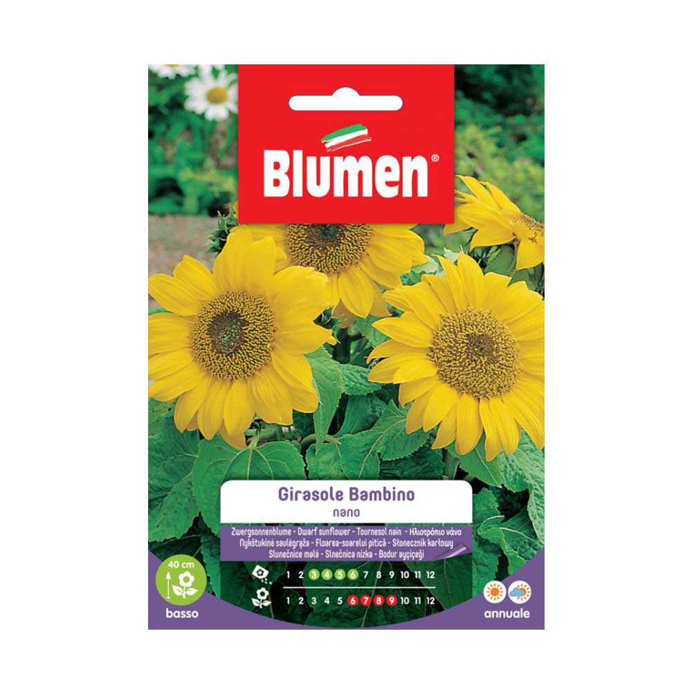 SEMI GIRASOLE BAMBINO NANO BLUMEN