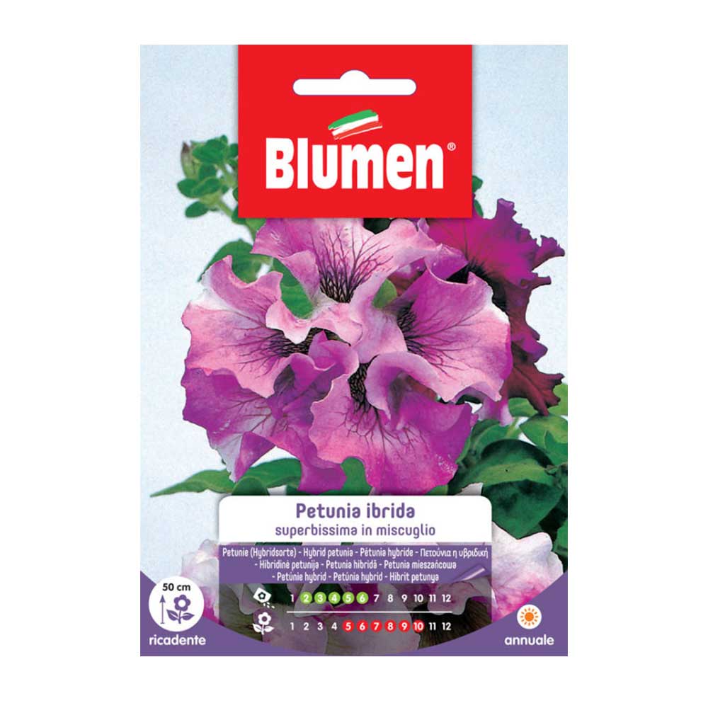 SEMI DI PETUNIA HYBRIDA SUPERBISSIMA IN MISCUGLIO BLUMEN
