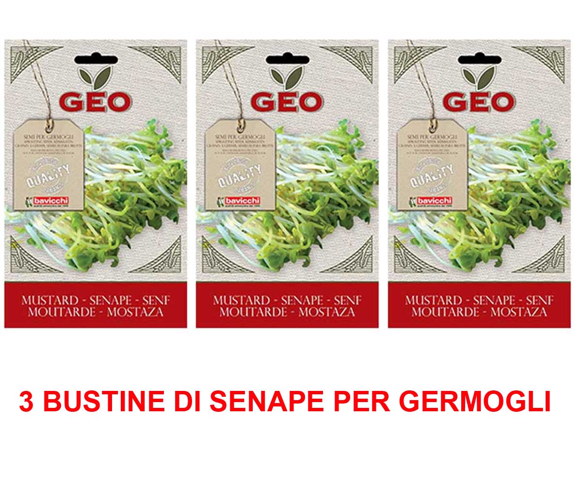 3 CONFEZIONI DI SEMI BIO DI SENAPE PER GERMOGLI 50GR