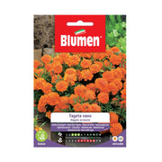 SEMI TAGETE NANO DOPPIO ARANCIO BLUMEN