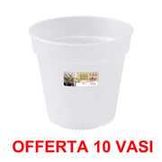 OFFERTA 10 VASO ORCHIDEE GREEN BASICS ORCHID 13CM TRANSPARENT
