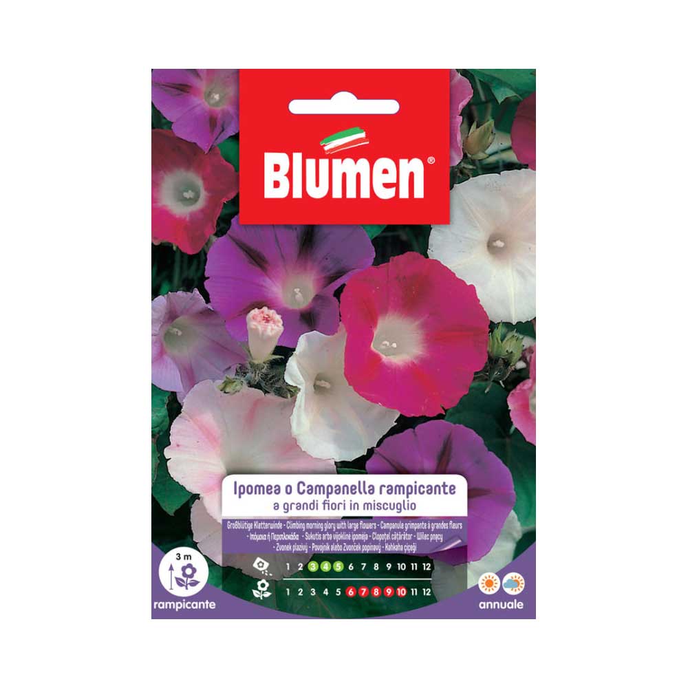 SEMI IPOMEA RAMPICANTE FIORI MIX BLUMEN