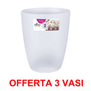 OFFERTA 3 VASO ORCHIDEE BRUSSELS ORCHID HIGH 12,5CM TRANSPARENT
