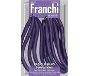 SEMI FAGIOLO NANO PURPLE KING