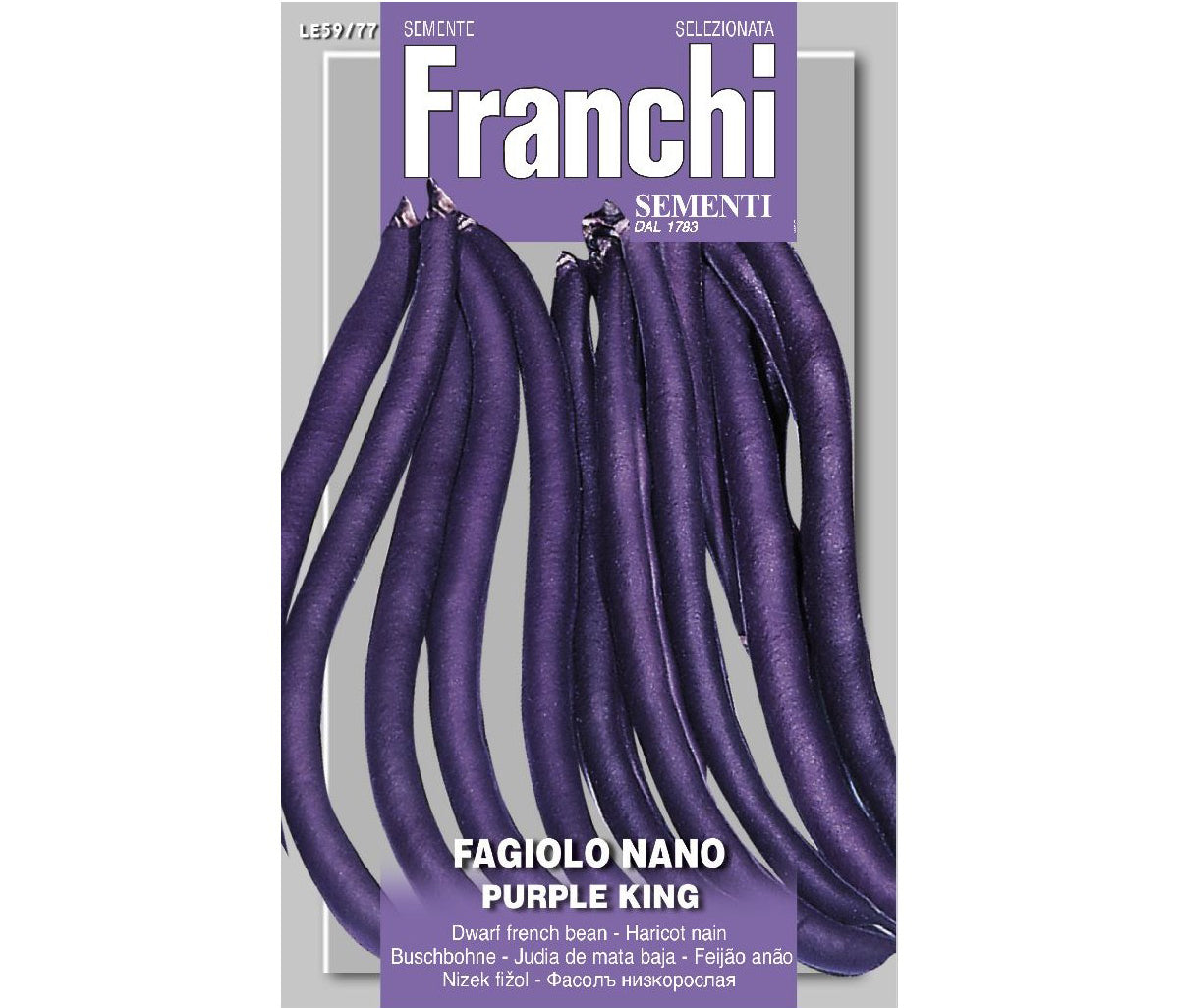 SEMI FAGIOLO NANO PURPLE KING