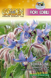 SEMI BORRAGINE EDIBILE GOLDEN LINE FRANCHI SEMENTI