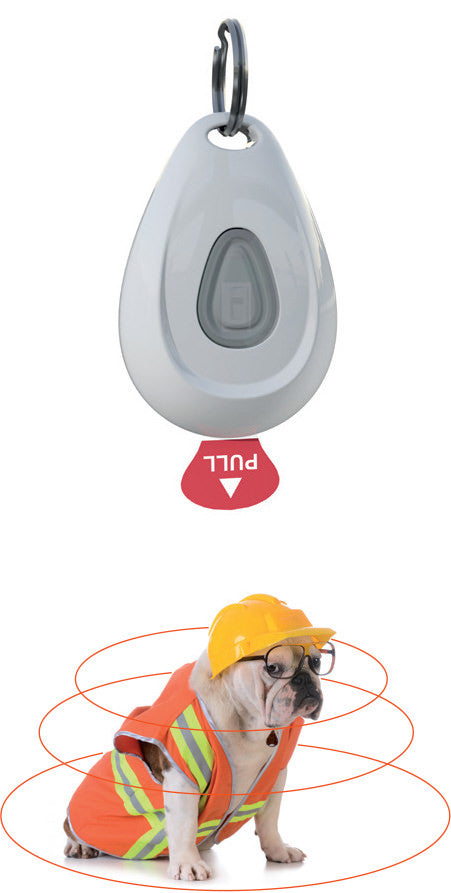 ZEROBUGS PET DISPOSITIVO SCACCIA ZECCHE E PULCI PER ANIMALI DOMESTICI