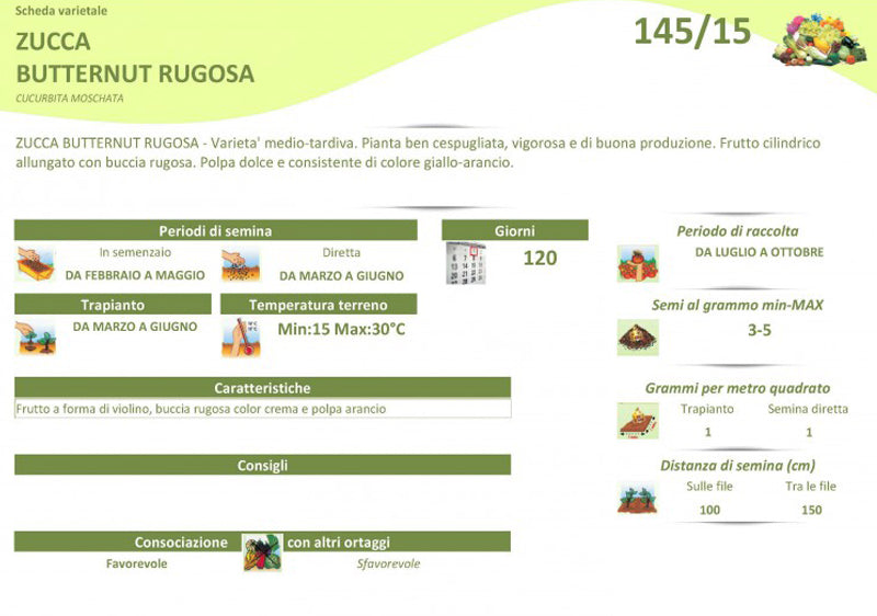 BUSTINA SEMI DI ZUCCA BUTTERNUT RUGOSA