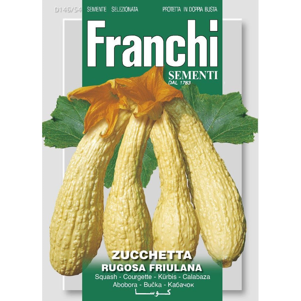 SEMI DI ZUCCHETTA RUGOSA FRIULANA