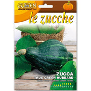 SEMI DI ZUCCA TRUE GREEN HUBBARD