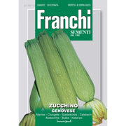 BUSTINA SEMI DI ZUCCHINO GENOVESE