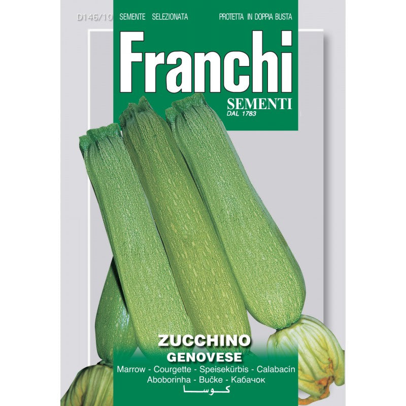 BUSTINA SEMI DI ZUCCHINO GENOVESE