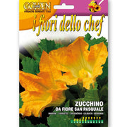 SEMI DI ZUCCHINO DA FIORE